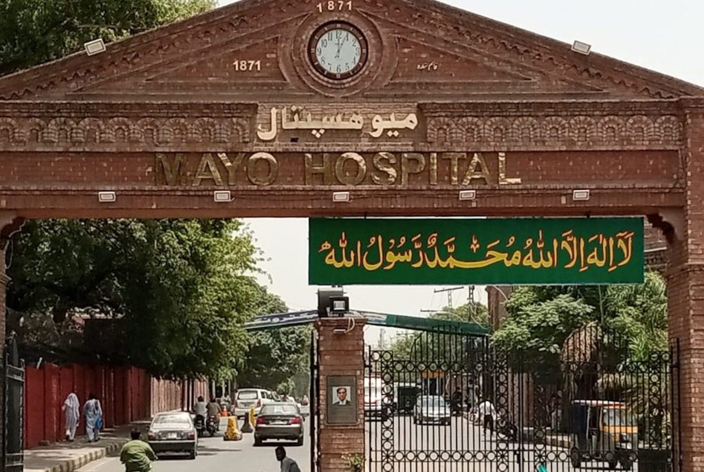 mayo hospital jawapaints project